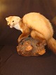 Bestellnummer:
114816 Bestellnummer:
114816